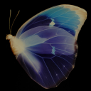 to-and-from-somebody avatar