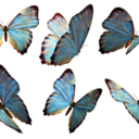 to-the-mooooon avatar