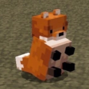 toad-on-the-road avatar