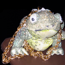 toad-purse avatar