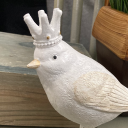 toadinatoadstool avatar