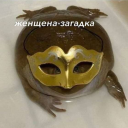 toadinthechest avatar