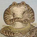 toadsandtiels avatar