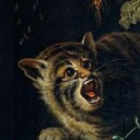 toadthepige0n avatar