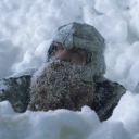 toadthesecond avatar