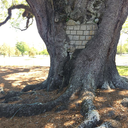 toastbutterandsam avatar