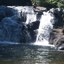 toaster-drewdle avatar