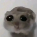 toaststeallerrrr avatar