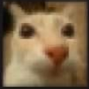 toastwaffelpancake avatar