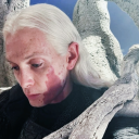 toasty-lizard avatar