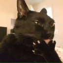 toastyhostys-blog avatar