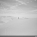 toastylanguor avatar