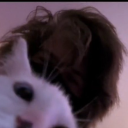 toastysandhamwich avatar