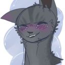 tobedeactivated-djdisirjjtu47484 avatar