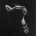 tobeloveds-blog avatar