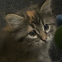 tobillo-oofles avatar