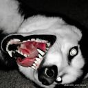 tobygetsgirlz avatar