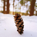 todawoodsphotos avatar