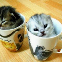 todayinkabbalah avatar