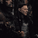 toddthekiwibird avatar