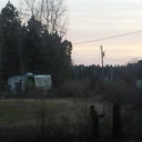 todeathorregeneration avatar