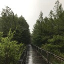 todella-kaunis avatar