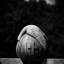 todieforimages avatar