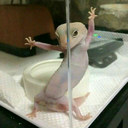 todoesunamancha avatar