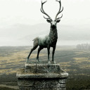 todrawortodread avatar