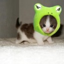 toeatinggremlin avatar