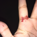 together-letsbeinsane avatar