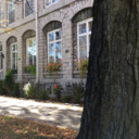 together-we-live avatar