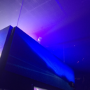 togethertheygo avatar