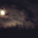 tohellwithurl avatar