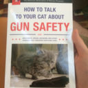 tohocompanylimited-blog avatar