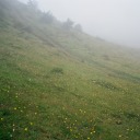 toiletservicelounge avatar