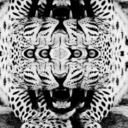 toimeaodegato avatar