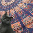 tokeythetiger avatar