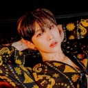 tokkienthisiast avatar