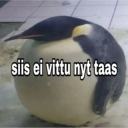 tokmannigandalf avatar