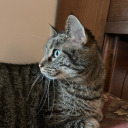 tolifedouspart avatar