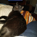 tolightamatch avatar