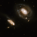 tolkiensiblingsweek avatar