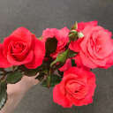 toloveoneself-blog avatar