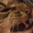 tom-from-acquisition avatar