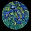 toma-mi-cintura avatar