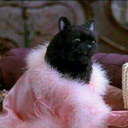 tomando-forma avatar