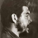 tomarosmeiosdeproducao avatar