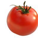 tomato-doing-things-blog avatar