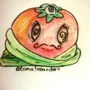 tomato-ninja-sketchbook avatar